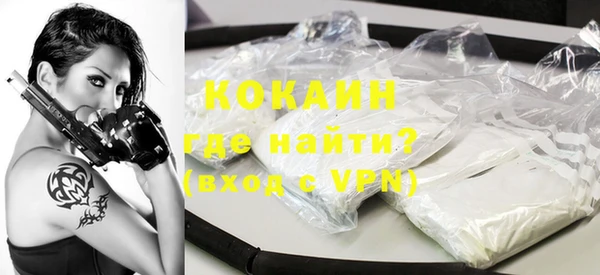 индика Зерноград