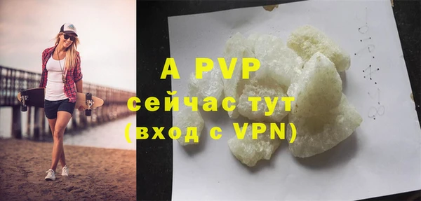 индика Зерноград