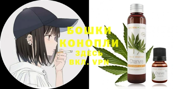 индика Зерноград