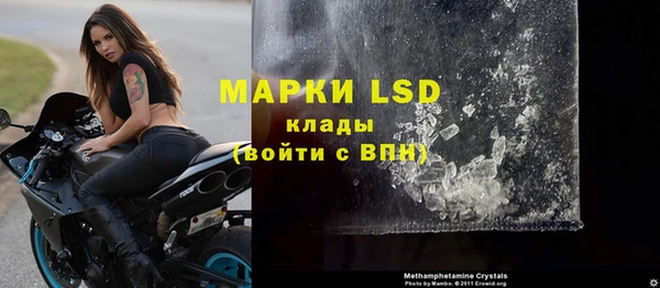 индика Зерноград