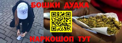 2c-b Кингисепп