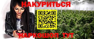 2c-b Кингисепп