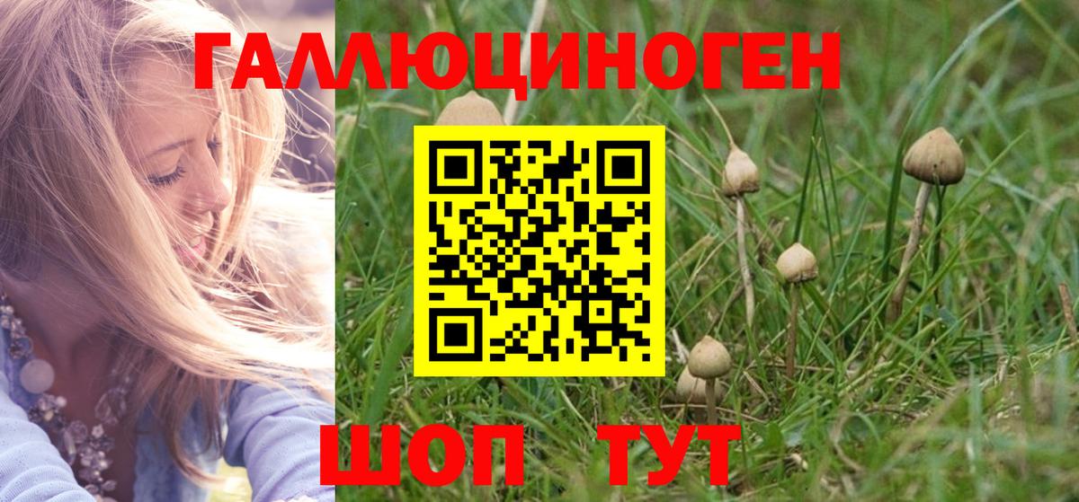 Галлюциногенные грибы GOLDEN TEACHER Сибай