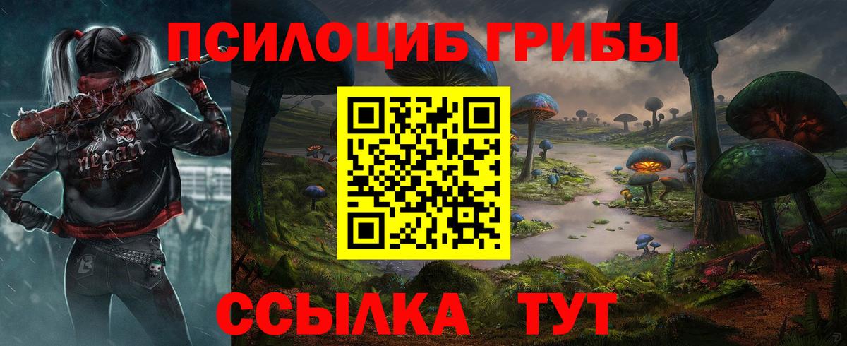 Псилоцибиновые грибы Psilocybine cubensis  Вход с VPN  купить   Сибай 