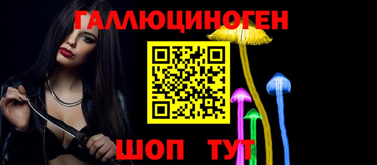 купить   Сибай  Галлюциногенные грибы Cubensis 