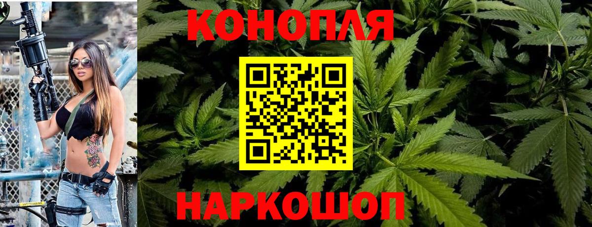 Каннабис OG Kush Сибай
